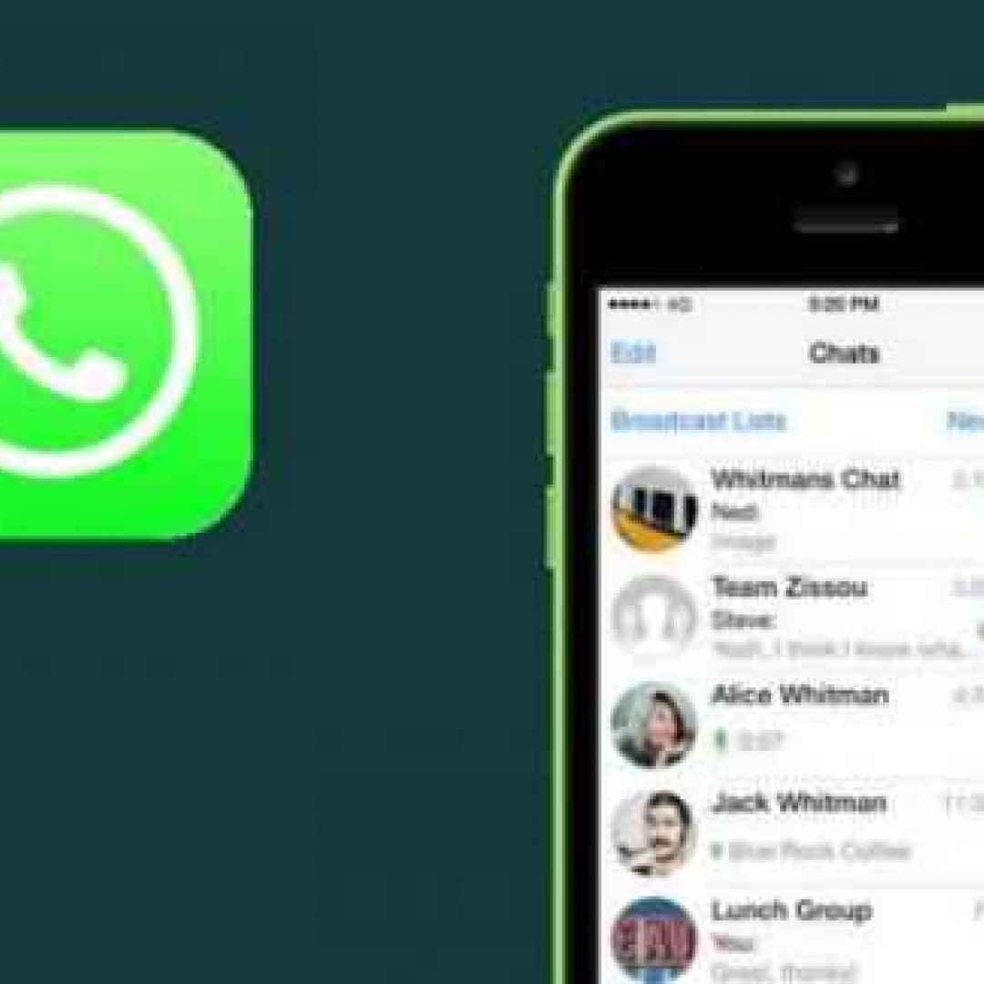 WhatsApp su iOS arrivano i primi stickers scopri quali