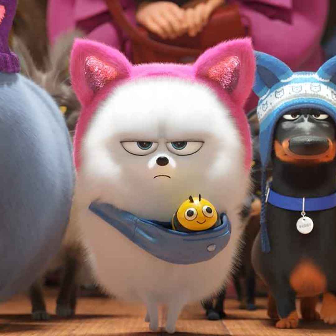 Pets 2 - Vita da animali film streaming ita film senza limiti